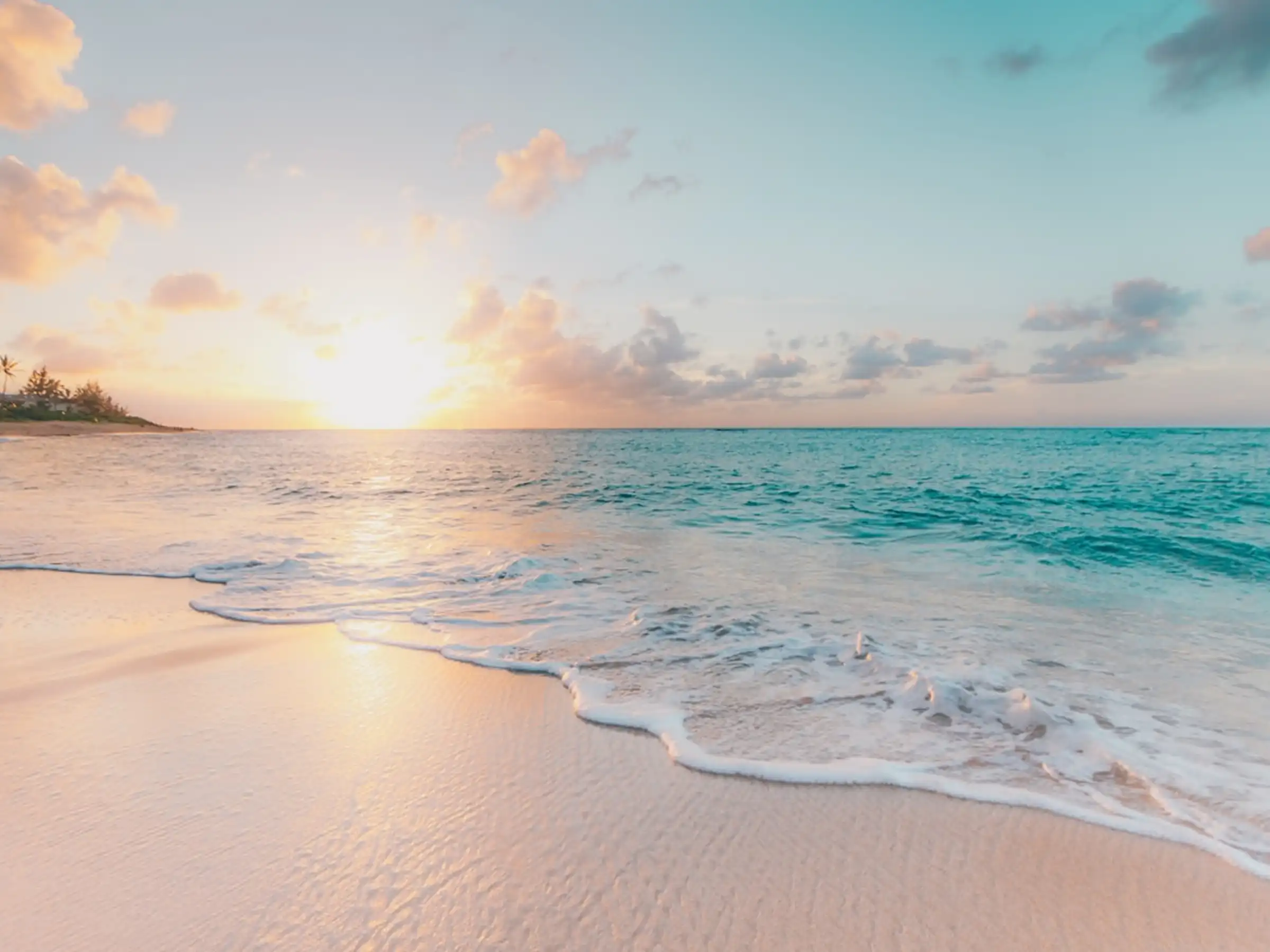 Beachfront coastal environment